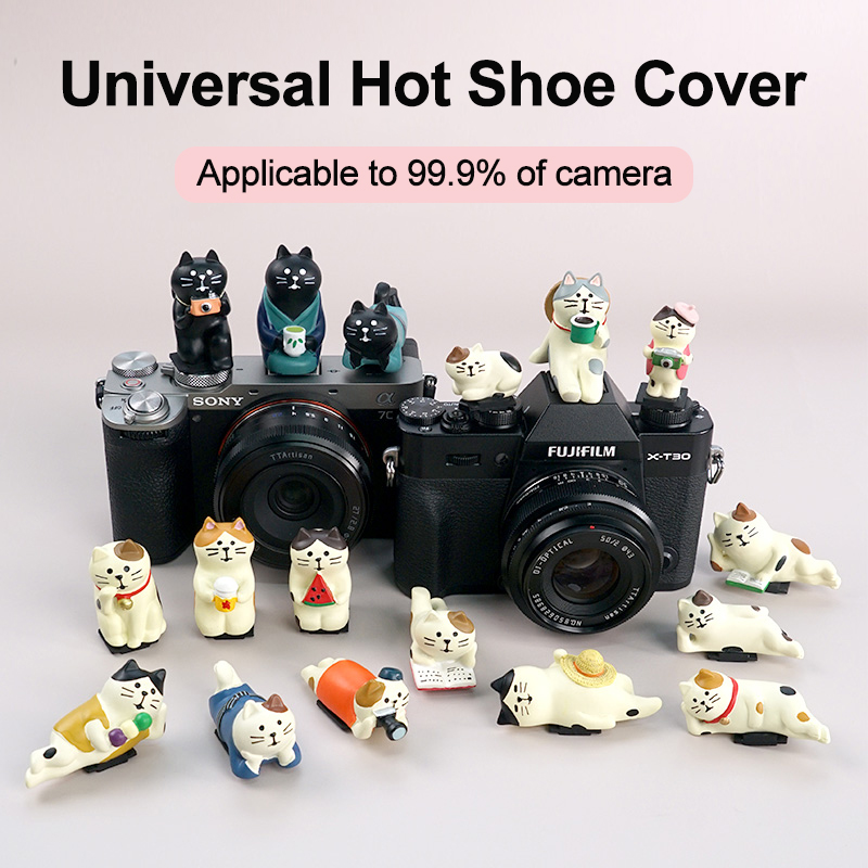 Penutup Hot Shoe Kamera Univer - Canon Camera Eos R50 ulasan dan harga